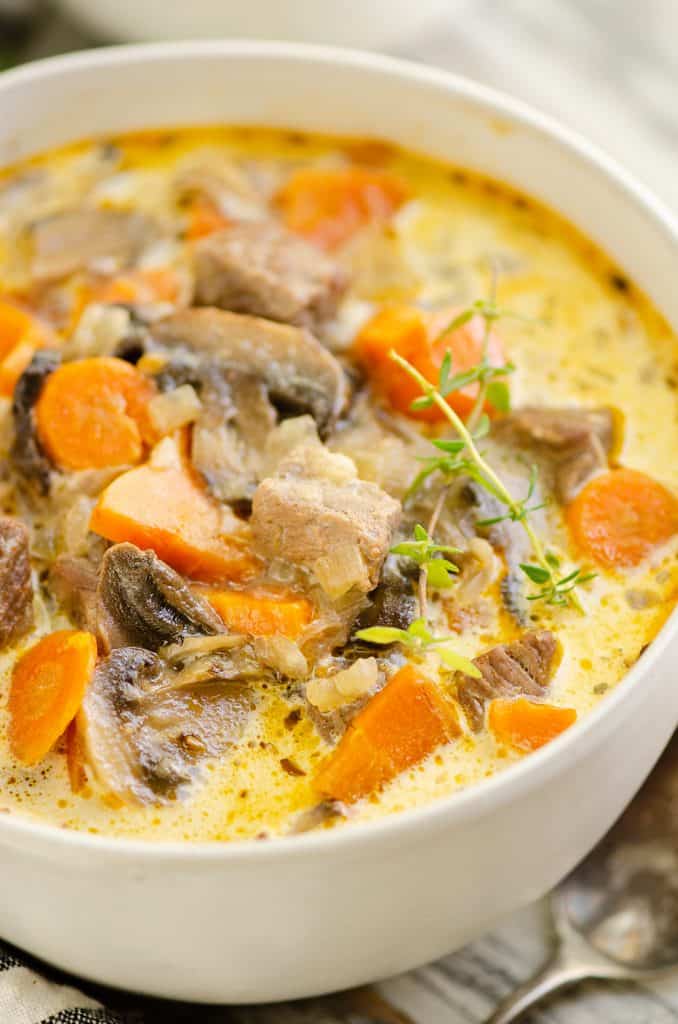 Instant Pot Beef With Cream Of Mushroom Soup 8512